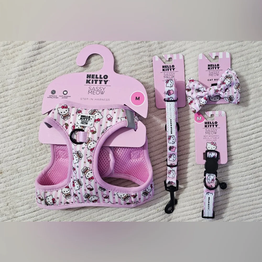 Hello Kitty don’t pass